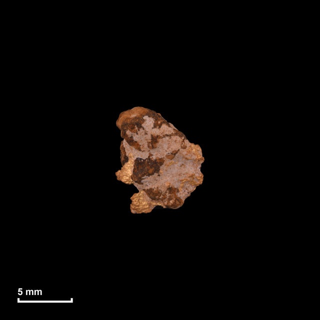 Goldnugget Nr. 26-0299 in tatsächlicher Größe – alle Nuggets im gleichen Maßstab aufgenommen