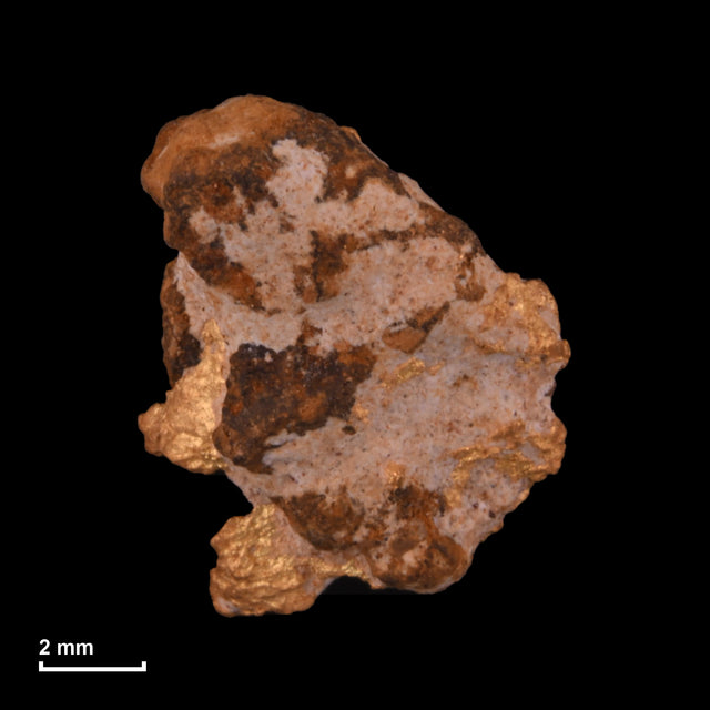 Goldnugget Nr. 26-0299 mit Maßstab: 9,8 × 8,1 mm bei 0,81 g