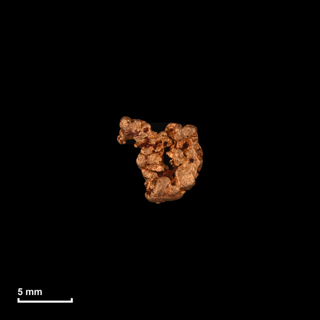 Goldnugget Nr. 26-0180 in tatsächlicher Größe – alle Nuggets im gleichen Maßstab aufgenommen