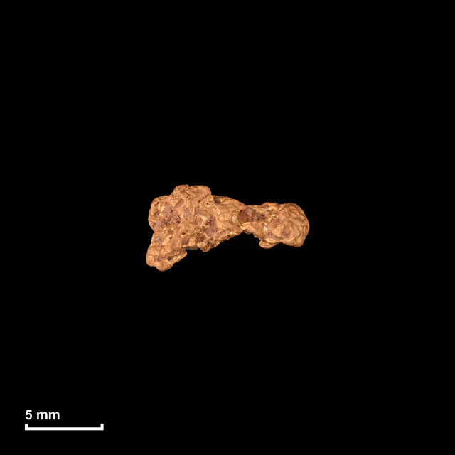 Goldnugget Nr. 26-0323 in tatsächlicher Größe – alle Nuggets im gleichen Maßstab aufgenommen