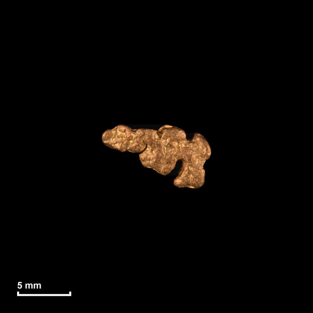 Goldnugget Nr. 26-0178 in tatsächlicher Größe – alle Nuggets im gleichen Maßstab aufgenommen