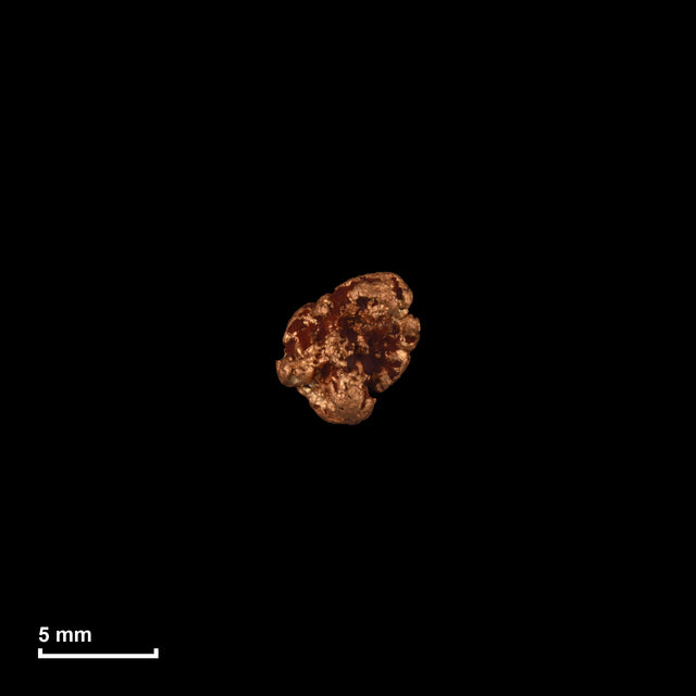 Goldnugget Nr. 26-0146 in tatsächlicher Größe – alle Nuggets im gleichen Maßstab aufgenommen