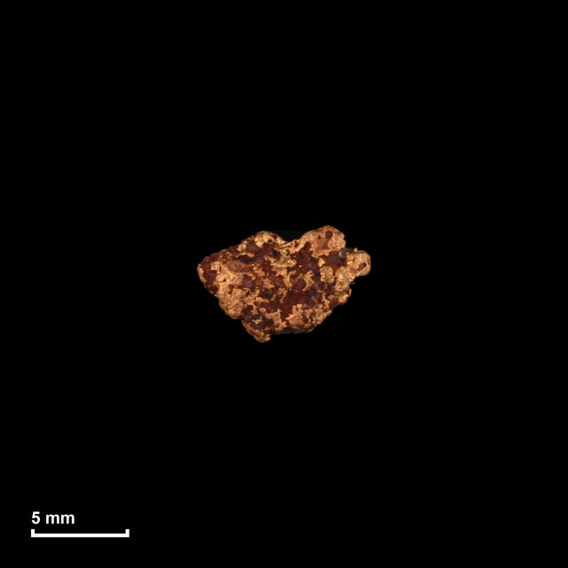 Goldnugget Nr. 26-0168 in tatsächlicher Größe – alle Nuggets im gleichen Maßstab aufgenommen