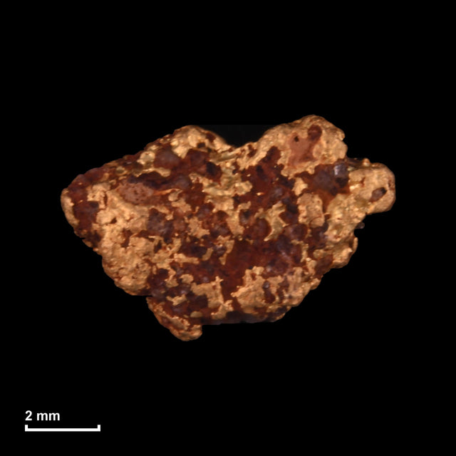 Goldnugget Nr. 26-0168 mit Maßstab: 8,9 × 6,0 mm bei 0,84 g