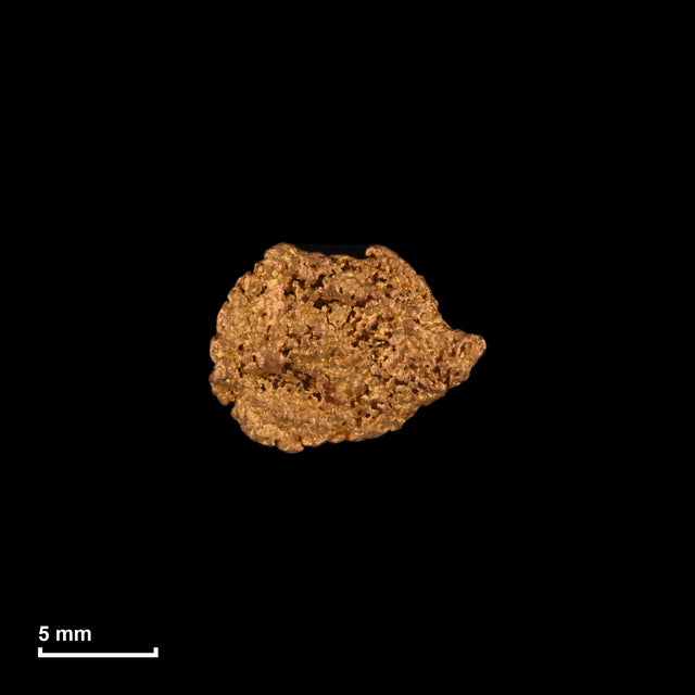 Goldnugget Nr. 26-0236 in tatsächlicher Größe – alle Nuggets im gleichen Maßstab aufgenommen
