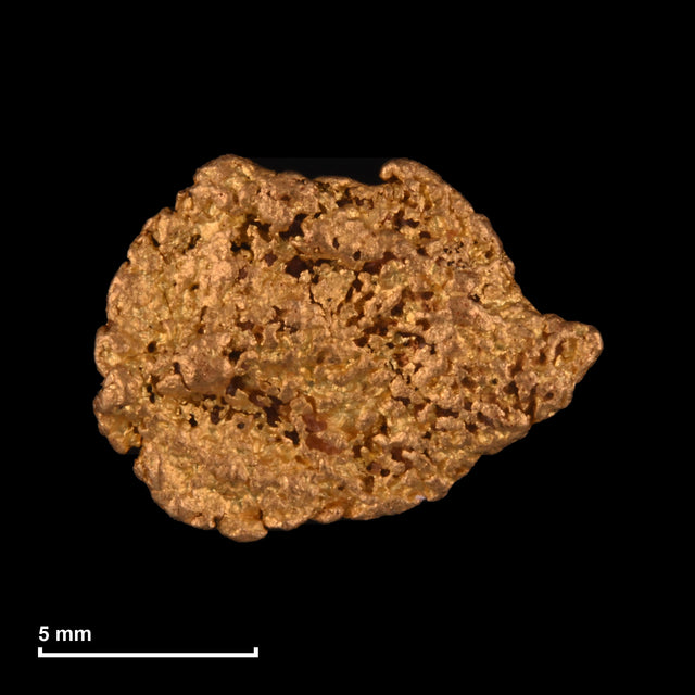 Goldnugget Nr. 26-0236 mit Maßstab: 11,6 × 8,8 mm bei 0,84 g