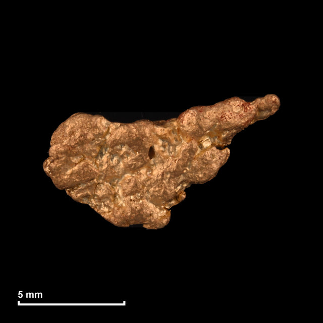 Goldnugget Nr. 26-0205 mit Maßstab: 11,0 × 6,3 mm bei 0,86 g