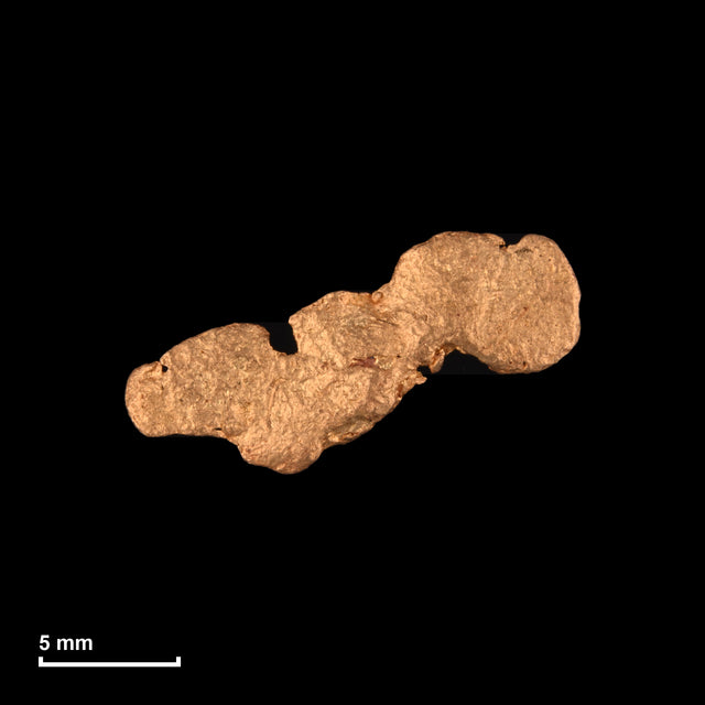 Goldnugget Nr. 26-0024 mit Maßstab: 15,7 × 8,4 mm bei 0,87 g