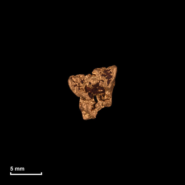 Goldnugget Nr. 26-0184 in tatsächlicher Größe – alle Nuggets im gleichen Maßstab aufgenommen