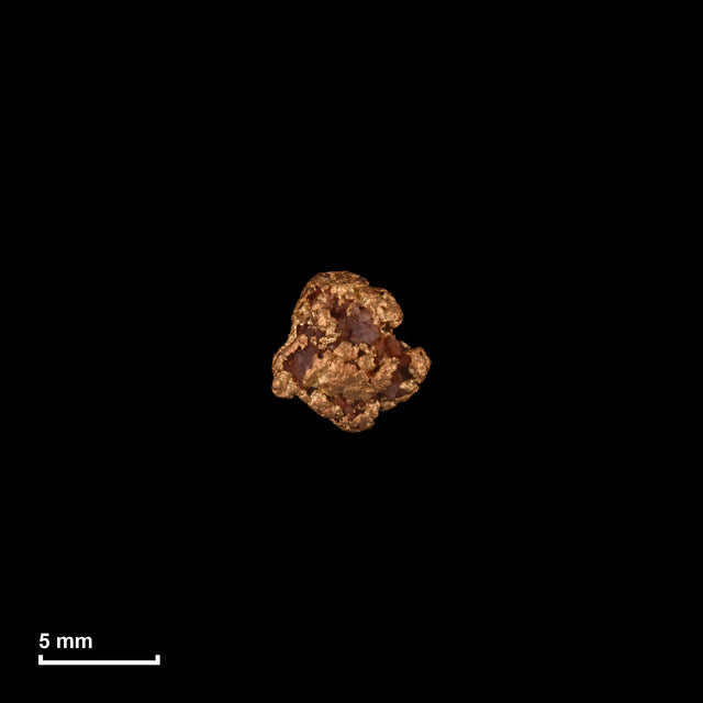 Goldnugget Nr. 26-0208 in tatsächlicher Größe – alle Nuggets im gleichen Maßstab aufgenommen