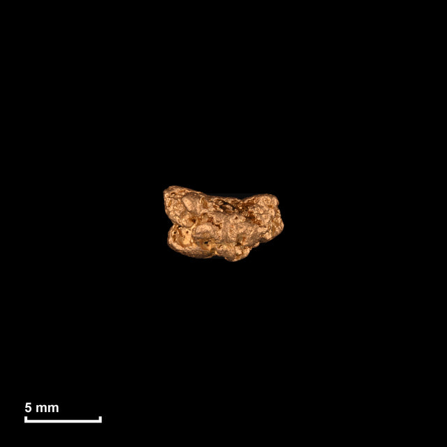 Goldnugget Nr. 26-0131 in tatsächlicher Größe – alle Nuggets im gleichen Maßstab aufgenommen