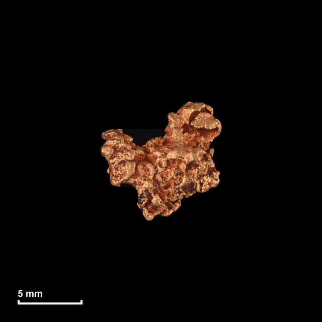 Goldnugget Nr. 26-0113 mit Maßstab: 9,2 × 9,1 mm bei 0,90 g