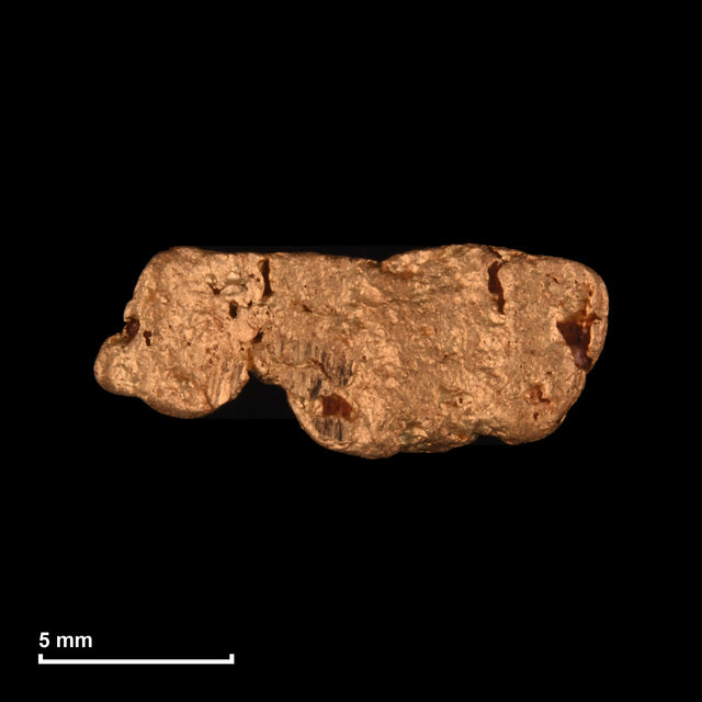 Goldnugget Nr. 26-0174 mit Maßstab: 13,2 × 5,5 mm bei 0,91 g
