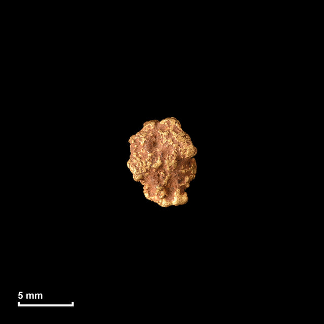 Goldnugget Nr. 26-0338 in tatsächlicher Größe – alle Nuggets im gleichen Maßstab aufgenommen