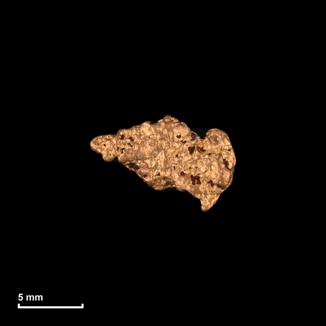 Goldnugget Nr. 26-0111 mit Maßstab: 11,0 × 7,3 mm bei 0,92 g