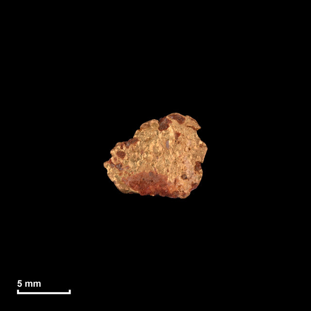 Goldnugget Nr. 26-0173 in tatsächlicher Größe – alle Nuggets im gleichen Maßstab aufgenommen