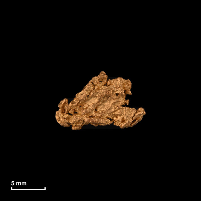 Goldnugget Nr. 26-0240 in tatsächlicher Größe – alle Nuggets im gleichen Maßstab aufgenommen