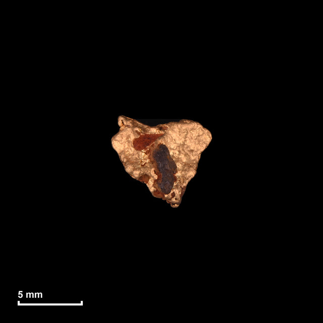 Goldnugget Nr. 26-0093 mit Maßstab: 7,7 × 7,0 mm bei 0,93 g
