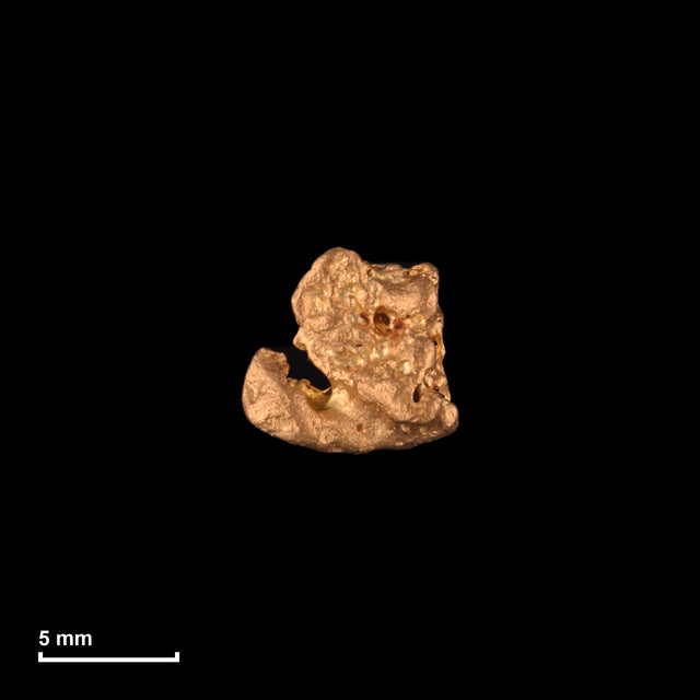 Goldnugget Nr. 26-0115 mit Maßstab: 7,6 × 7,3 mm bei 0,93 g