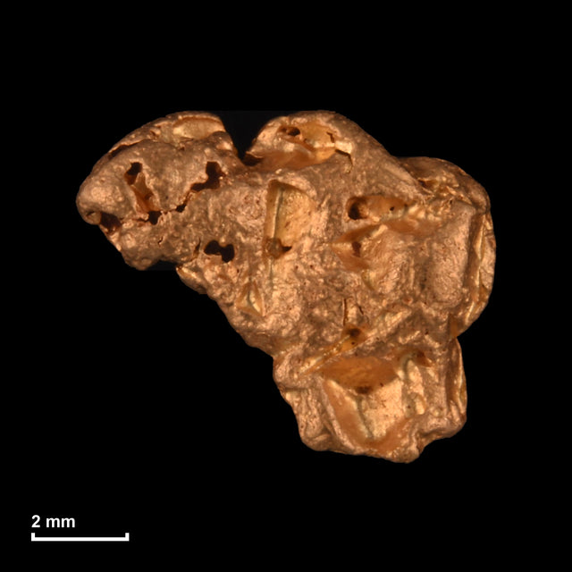 Goldnugget Nr. 26-0169 mit Maßstab: 8,6 × 7,2 mm bei 0,93 g