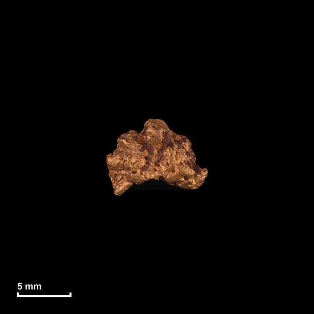 Goldnugget Nr. 26-0198 in tatsächlicher Größe – alle Nuggets im gleichen Maßstab aufgenommen