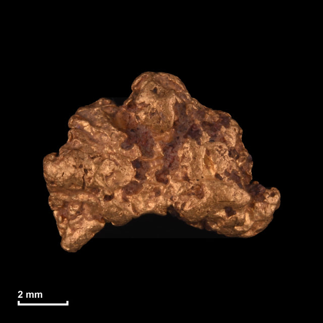 Goldnugget Nr. 26-0198 mit Maßstab: 9,4 × 7,1 mm bei 0,93 g