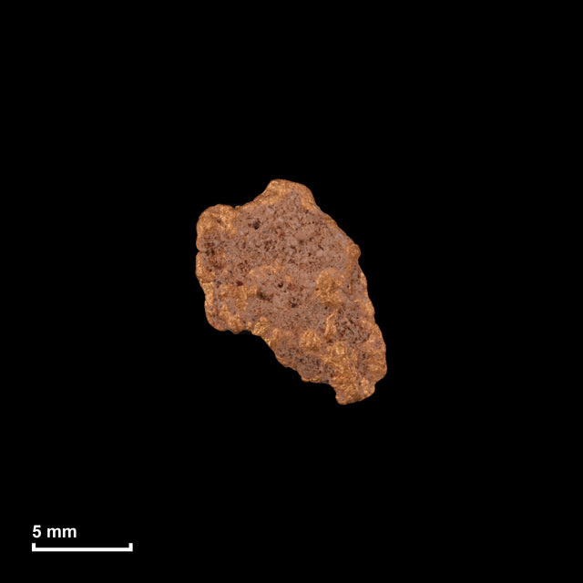 Goldnugget Nr. 26-0295 in tatsächlicher Größe – alle Nuggets im gleichen Maßstab aufgenommen