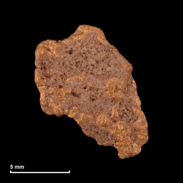 Goldnugget Nr. 26-0295 mit Maßstab: 11,3 × 9,6 mm bei 0,94 g