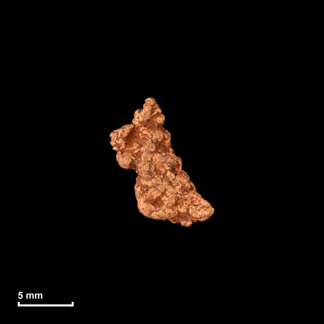 Goldnugget Nr. 26-0304 in tatsächlicher Größe – alle Nuggets im gleichen Maßstab aufgenommen