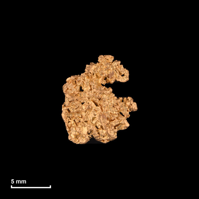 Goldnugget Nr. 26-0108 mit Maßstab: 12,3 × 10,5 mm bei 0,96 g
