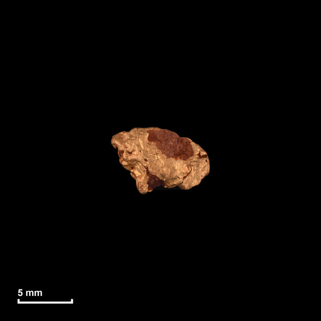 Goldnugget Nr. 26-0149 in tatsächlicher Größe – alle Nuggets im gleichen Maßstab aufgenommen