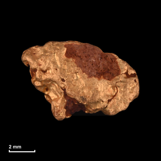 Goldnugget Nr. 26-0149 mit Maßstab: 9,0 × 6,1 mm bei 0,97 g