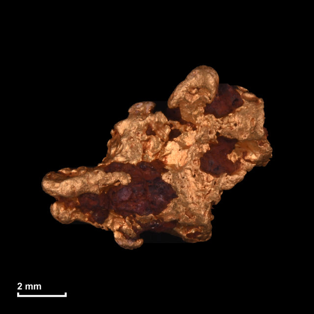 Goldnugget Nr. 26-0201 mit Maßstab: 9,4 × 7,5 mm bei 0,97 g