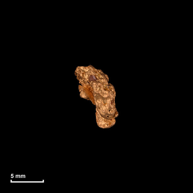 Goldnugget Nr. 26-0216 in tatsächlicher Größe – alle Nuggets im gleichen Maßstab aufgenommen