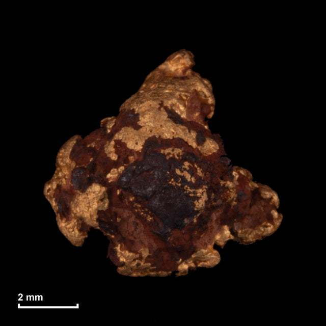 Goldnugget Nr. 26-0225 mit Maßstab: 7,9 × 7,5 mm bei 0,98 g