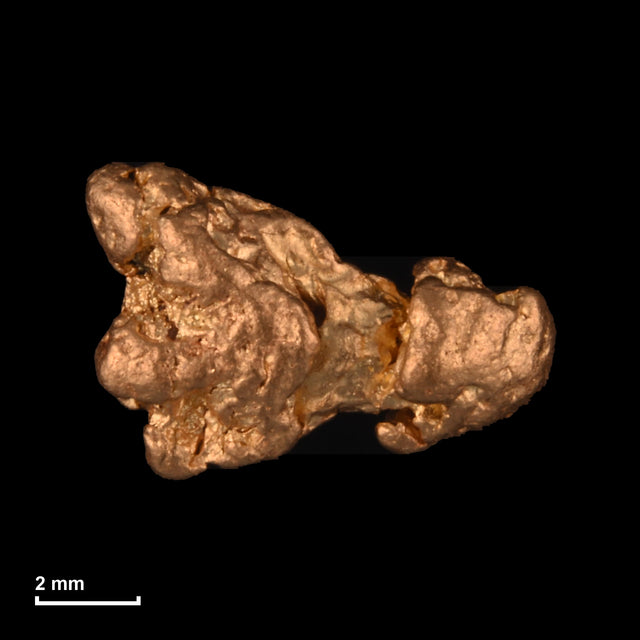Goldnugget Nr. 26-0134 mit Maßstab: 8,9 × 6,0 mm bei 1,00 g