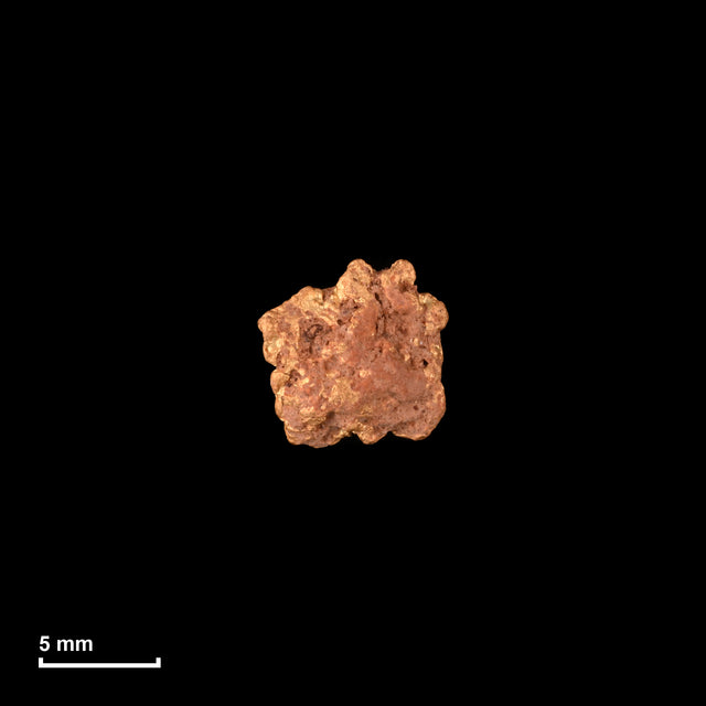 Goldnugget Nr. 26-0305 in tatsächlicher Größe – alle Nuggets im gleichen Maßstab aufgenommen