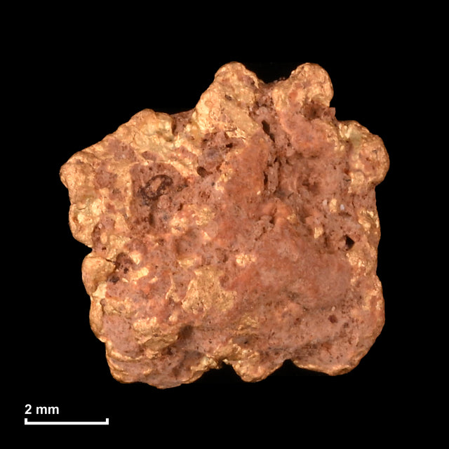 Goldnugget Nr. 26-0305 mit Maßstab: 7,9 × 7,8 mm bei 1,00 g