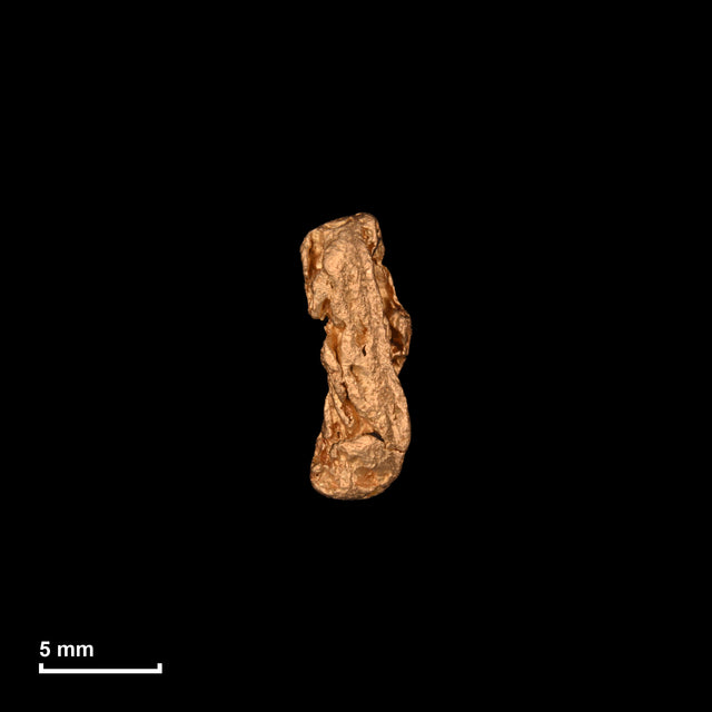 Goldnugget Nr. 26-0259 in tatsächlicher Größe – alle Nuggets im gleichen Maßstab aufgenommen