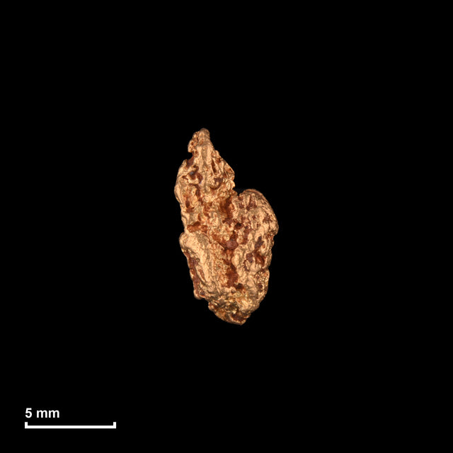Goldnugget Nr. 26-0105 mit Maßstab: 10,6 × 5,6 mm bei 1,03 g