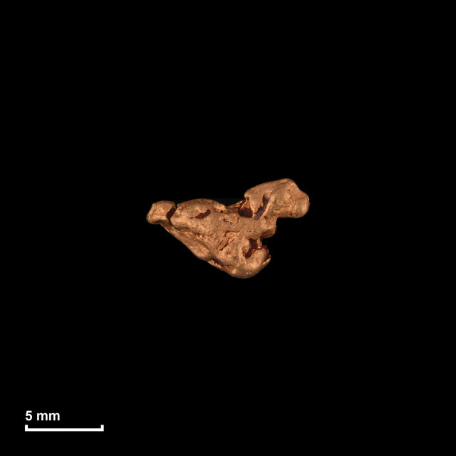 Goldnugget Nr. 26-0167 in tatsächlicher Größe – alle Nuggets im gleichen Maßstab aufgenommen