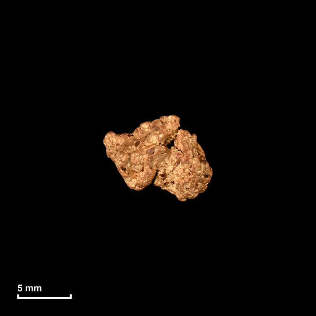 Goldnugget Nr. 26-0325 in tatsächlicher Größe – alle Nuggets im gleichen Maßstab aufgenommen