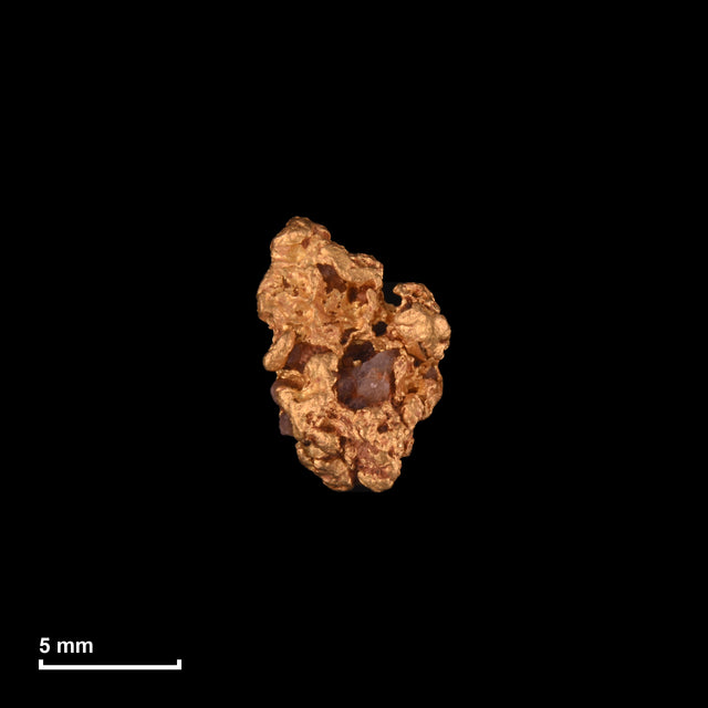 Goldnugget Nr. 26-0015 mit Maßstab: 9,5 × 6,8 mm bei 1,04 g