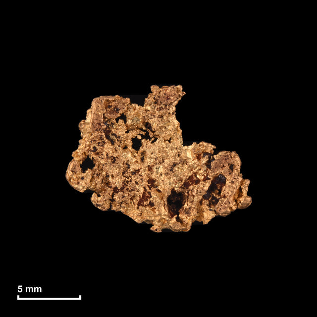 Goldnugget Nr. 26-0104 mit Maßstab: 14,5 × 11,6 mm bei 1,04 g