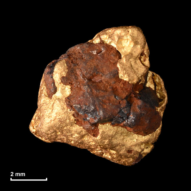 Goldnugget Nr. 26-0336 mit Maßstab: 7,7 × 7,6 mm bei 1,04 g