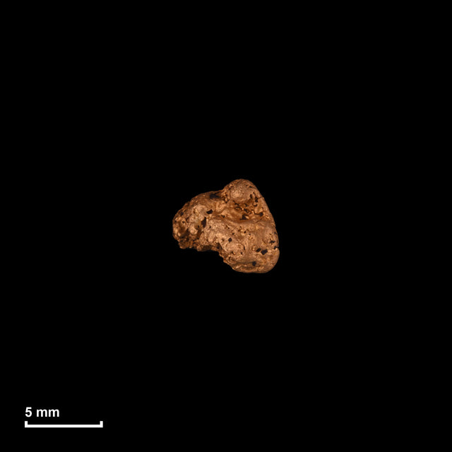 Goldnugget Nr. 26-0161 in tatsächlicher Größe – alle Nuggets im gleichen Maßstab aufgenommen