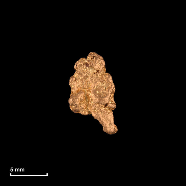 Goldnugget Nr. 26-0117 mit Maßstab: 10,9 × 6,6 mm bei 1,08 g