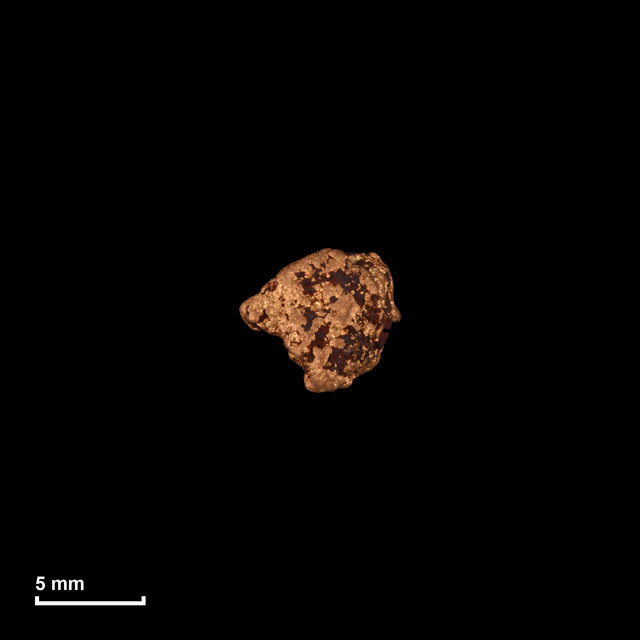 Goldnugget Nr. 26-0175 in tatsächlicher Größe – alle Nuggets im gleichen Maßstab aufgenommen