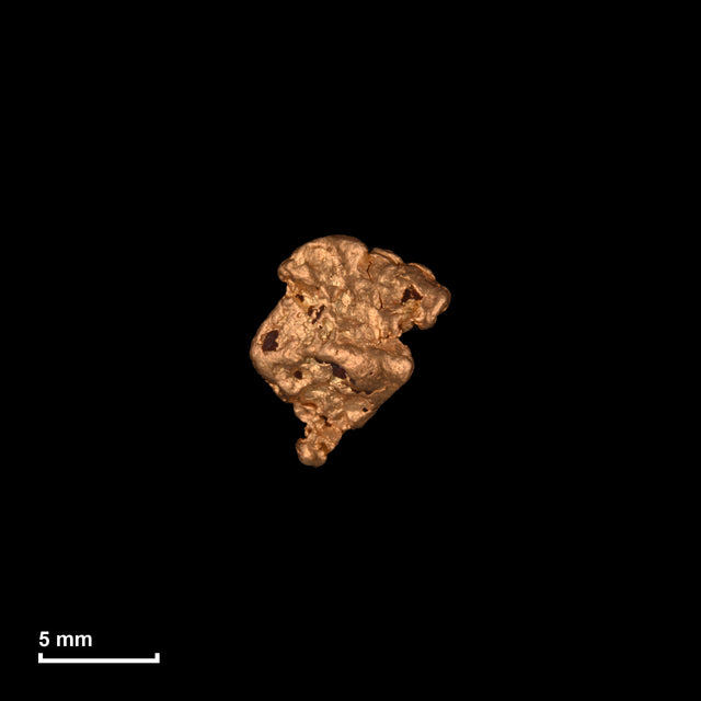 Goldnugget Nr. 26-0247 in tatsächlicher Größe – alle Nuggets im gleichen Maßstab aufgenommen