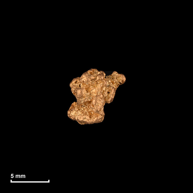 Goldnugget Nr. 26-0100 mit Maßstab: 7,5 × 7,2 mm bei 1,11 g